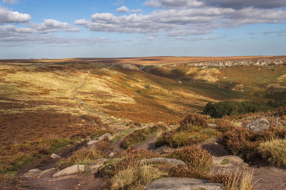 Fiddler's Elbow